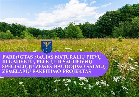 Schema, iliustruojanti skirtingus natūralių pievų tipus ir jų ypatybes