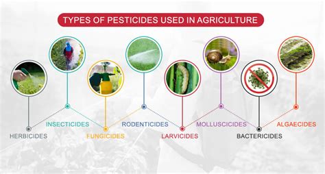 infographic showing different types of pesticides and their main applications