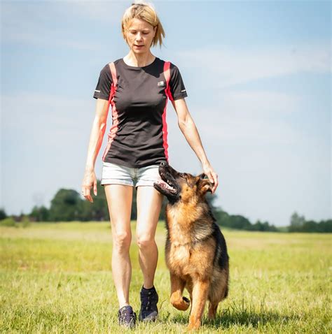 Vizualizacija: nuotrauka su įvairiais spygliuočiais, pavyzdžiui, skirtingų spalvų eglėmis ir pušimis, demonstruojanti jų įvairovę.