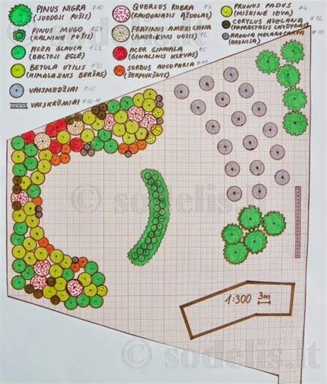 Vizualizacija: schema, parodanti skirtingų augalų sodinimo reikalavimus (saulė, pavėsis, dirvožemio tipas).