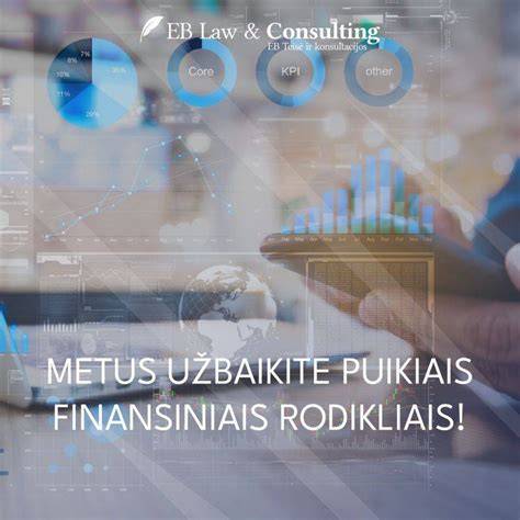 Infografika su pagrindiniais finansiniais rodikliais ir jų paaiškinimais
