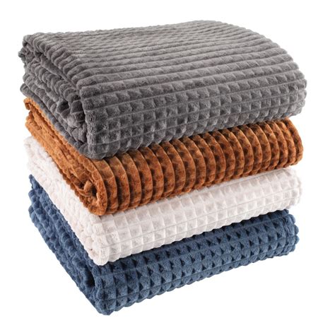 Azalijų krūmas, apklotas eglišakėmis žiemai