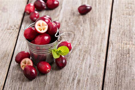 Nuotrauka su įvairiais ingredientais, naudojamais imuniteto stiprinimui: imbieras, česnakas, citrinos, medus, spanguolės.