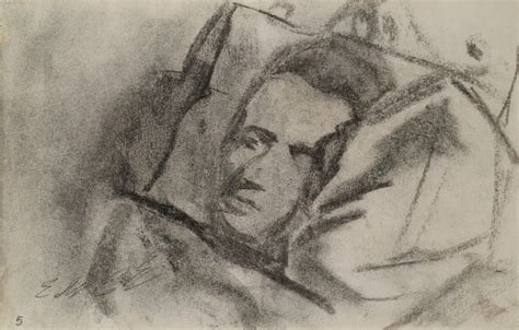 schematinis piešinys: tulpių svogūnėlio sodinimo principas pagal 