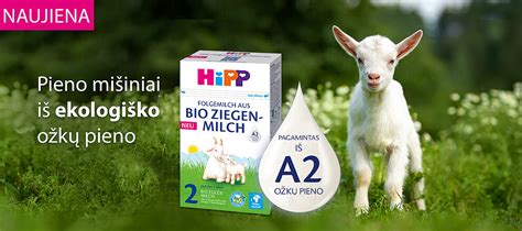 schema, iliustruojanti ožkų pieno produktų įvairovę