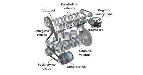 Schema, iliustruojanti mandagumo kaip 