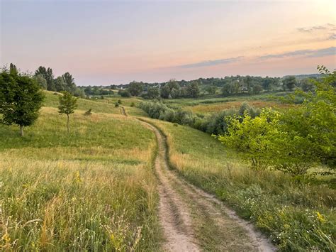 pusiau natūrali pieva su įvairiais augalais