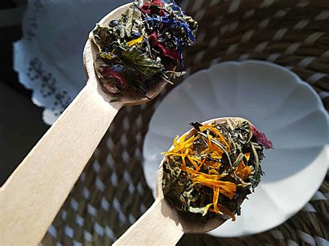 Vaistinių žolelių rinkinys