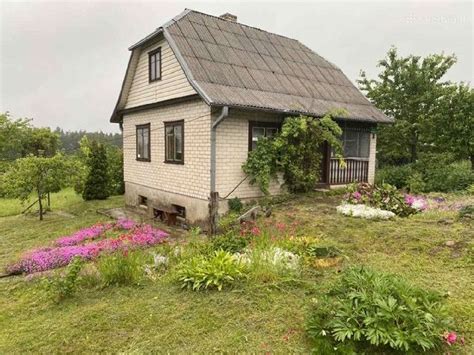 Infografika, iliustruojanti skirtingų tipų statinių (gyvenamasis namas, sodo namas, tualetas, šiltnamis) ir želdinių (medžiai, krūmai, gyvatvorės) leistinus atstumus nuo sklypo ribos