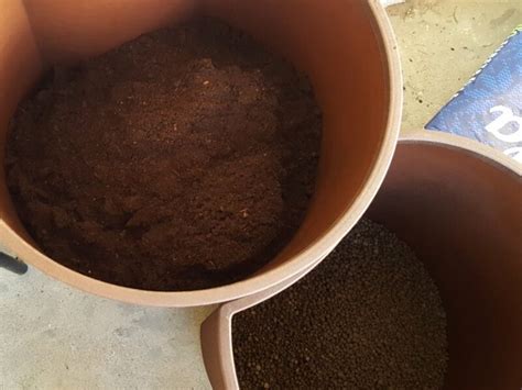 Vazono dugnas užpildytas keramzito granulėmis, ant kurių jau supiltas substratas