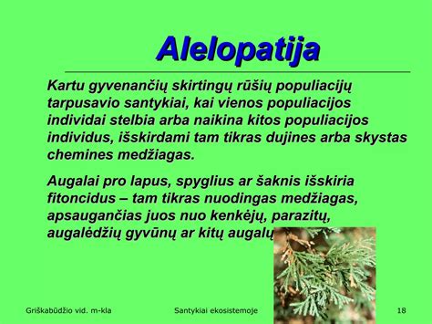 Infografika, iliustruojanti augalų rūšių nykimo mastą per tam tikrą laikotarpį