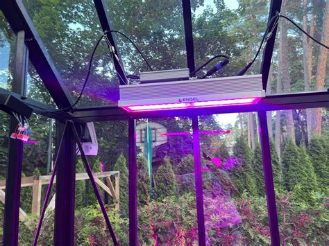 Vizualizacija, kaip turėtų būti išdėstytos LED lempos šiltnamyje, užtikrinant tolygų apšvietimą.