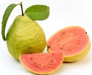 Baobabo vaisiai ir medis