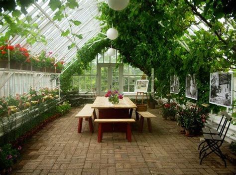 šiltnamio interjeras su įvairiais augalais