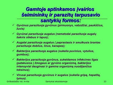 Vaizdinis palyginimas tarp įvairių rūšių uogų, pabrėžiant jų vitaminų kiekį