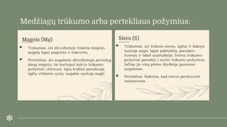 scheminė iliustracija, vaizduojanti skirtingų maistinių medžiagų trūkumo požymius ant pomidorų lapų