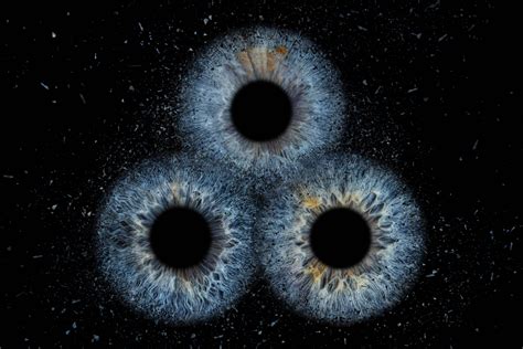 Nuotrauka, iliustruojanti skirtingų tipų augalų lempų (pvz., natrio, metalohalogenines, liuminescencines) išvaizdą.