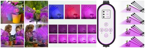 Grafikas, iliustruojantis skirtingų šviesos bangų ilgių absorbciją augalų lapų.