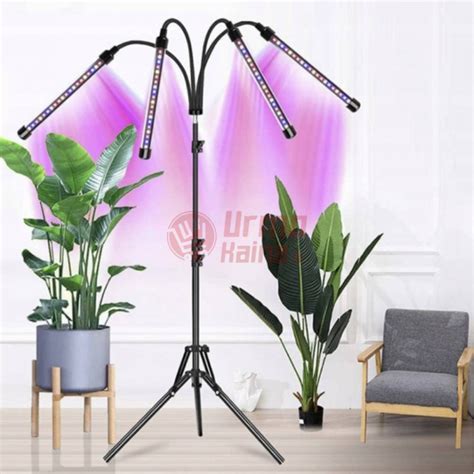 Nuotrauka, iliustruojanti LED augalų lempos spektrą, kur dominuoja mėlyni ir raudoni diodai.