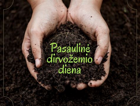 iliustracija, vaizduojanti dirvožemio erozijos arba rekultivacijos procesą