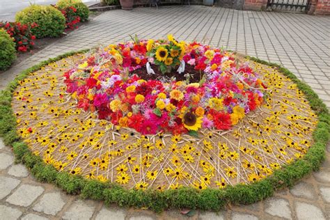 vaizdingas gėlių kilimas sode