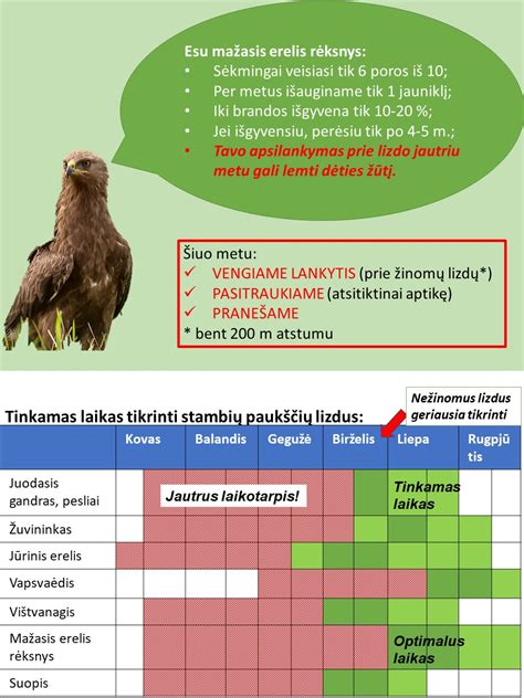 schematinis paukščių mėšlo sudėties palyginimas skirtingų rūšių paukščių