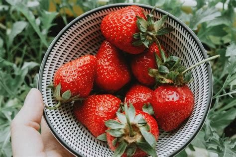 vasariškos prinokusios braškės