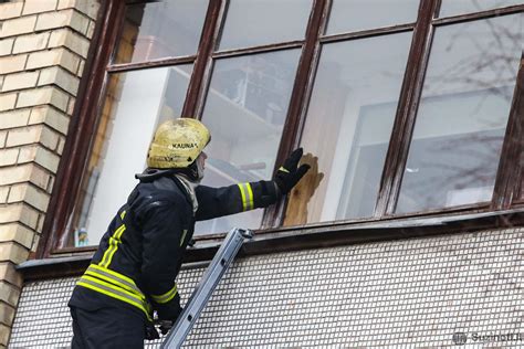 scheminis vaizdas, kaip parinkti tinkamą vietą šilauogėms sode - saulėta, apsaugota nuo vėjo, be drėgmės sankaupų