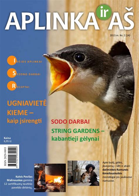 infografika su patarimais, kaip palaikyti tvarkingą ir graužikams nepriimtiną aplinką sode