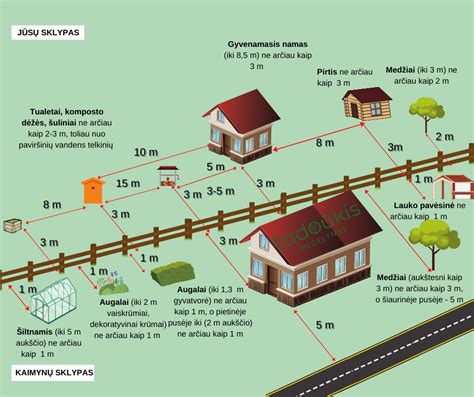Infografika su atstumais nuo sklypo ribos pagal tujų aukštį ir pusę