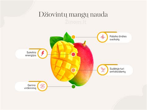 infografika, vaizduojanti šilauogių naudą organizmui: regėjimui, širdžiai, smegenims, imunitetui