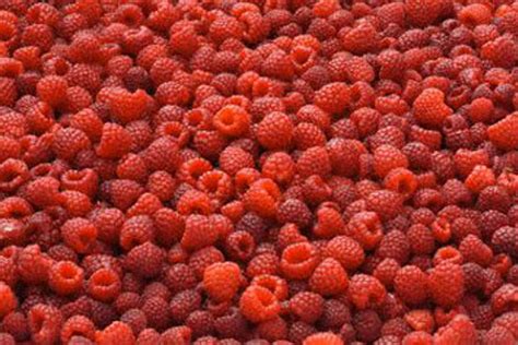 nuotrauka su džiovintomis ir šaldytomis avietėmis