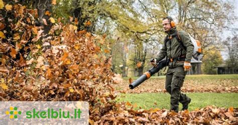 lapų tvarkymas mieste rudenį