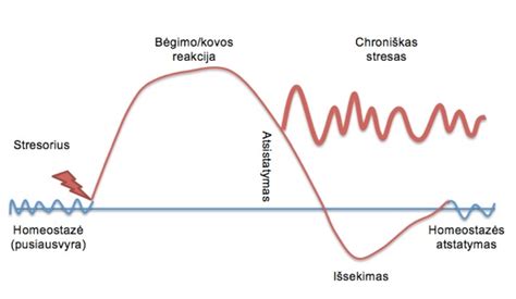 infografika, iliustruojanti natrio-kalio santykį ir jo įtaką organizmui; schematiškas paveikslėlis, vaizduojantis streso poveikį hormonų išsiskyrimui ir kalio praradimui