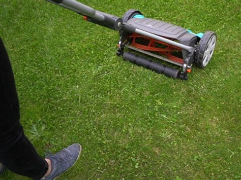 Schematinis plaktukinės žoliapjovės veikimo principas