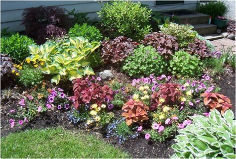 Įvairių tipų svyrančių ir vienmečių gėlių nuotraukos