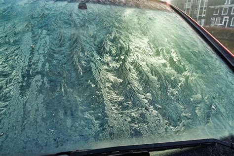 medžiai padengti storu ledo sluoksniu