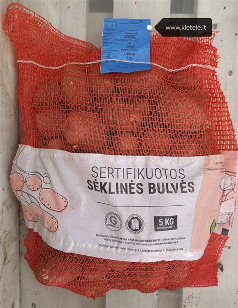 Sertifikuotos sėklinės bulvės su mėlynomis etiketėmis