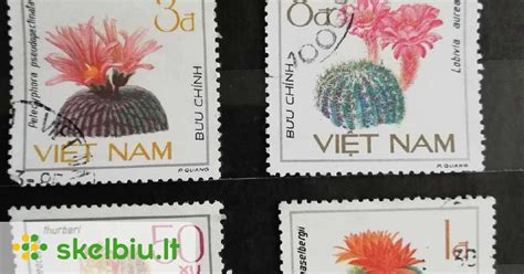 Skirtingų dykumų augmenijos tipų iliustracijos: kaktusai, sultingi augalai, dygliuoti krūmai, palmės.