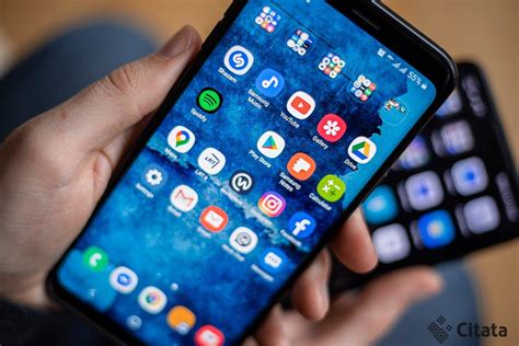 Infografika, lyginanti populiariausias augalų atpažinimo programėles pagal funkcijas ir tikslumą