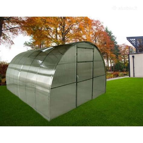 nuotrauka su įvairių formų ir dydžių meskito sėklų ankštimis