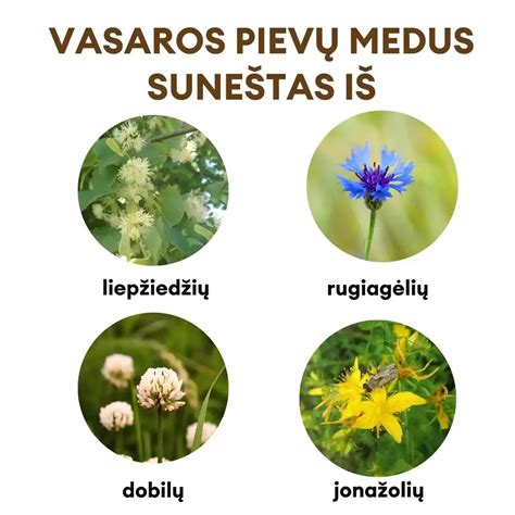 Altajaus pievų gausybė gėlių ir žolynų, vaizduojančių gamtos sodrumą ir spalvingumą.