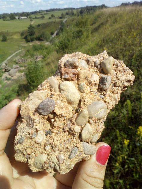 Schema, iliustruojanti Rider traktoriaus priekinį pjovimo agregatą ir jo privalumus manevringumo bei matomumo atžvilgiu.