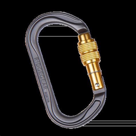 Stiprus aliuminio karabinas pavadėlyje