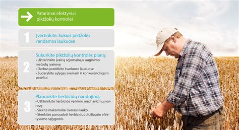 infografika apie integruotos piktžolių kontrolės principus