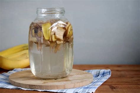 bananų žievelės kaip trąša