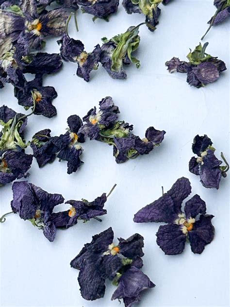 Įvairių spalvų našlaičių žiedai