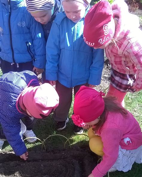 vaikai darželyje mokosi auginti daržoves