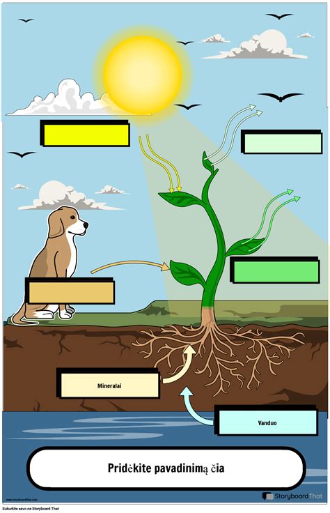 infografika su pagrindiniais fotosintezės faktoriais