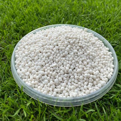 scheminė iliustracija, vaizduojanti NPK santykio svarbą vejos trąšose ir kiekvieno elemento poveikį augalui